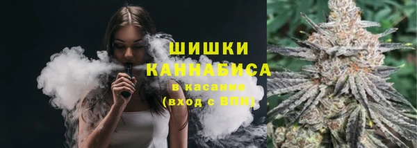 соль ск Алзамай
