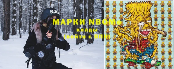 соль ск Алзамай